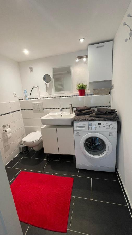Appartment Basel Сен-Луї Екстер'єр фото